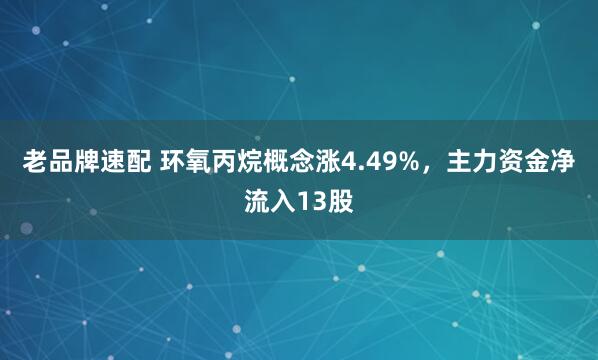 老品牌速配 环氧丙烷概念涨4.49%，主力资金净流入13股