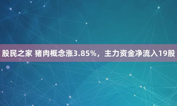 股民之家 猪肉概念涨3.85%,主力资金净流入19股