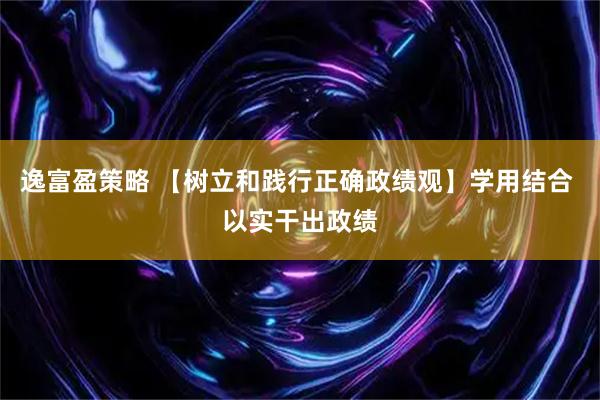 逸富盈策略 【树立和践行正确政绩观】学用结合 以实干出政绩