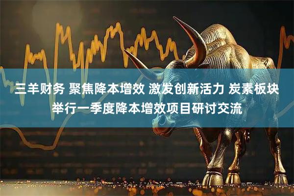 三羊财务 聚焦降本增效 激发创新活力 炭素板块举行一季度降本增效项目研讨交流