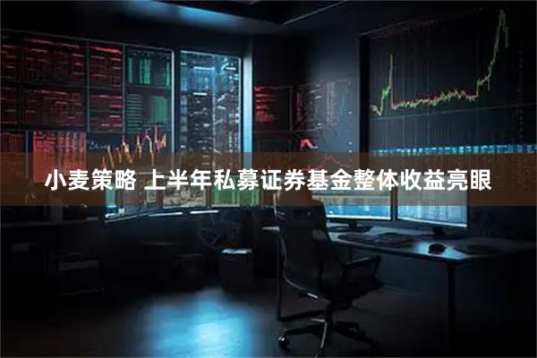 小麦策略 上半年私募证券基金整体收益亮眼