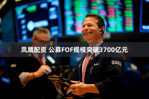 凤凰配资 公募FOF规模突破3700亿元