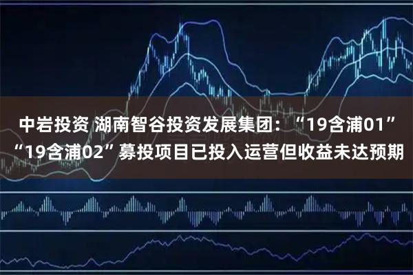 中岩投资 湖南智谷投资发展集团：“19含浦01”“19含浦02”募投项目已投入运营但收益未达预期