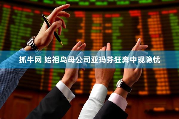 抓牛网 始祖鸟母公司亚玛芬狂奔中现隐忧