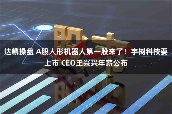 达麟操盘 A股人形机器人第一股来了！宇树科技要上市 CEO王兴兴年薪公布