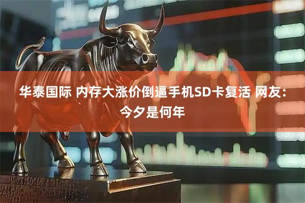 华泰国际 内存大涨价倒逼手机SD卡复活 网友：今夕是何年