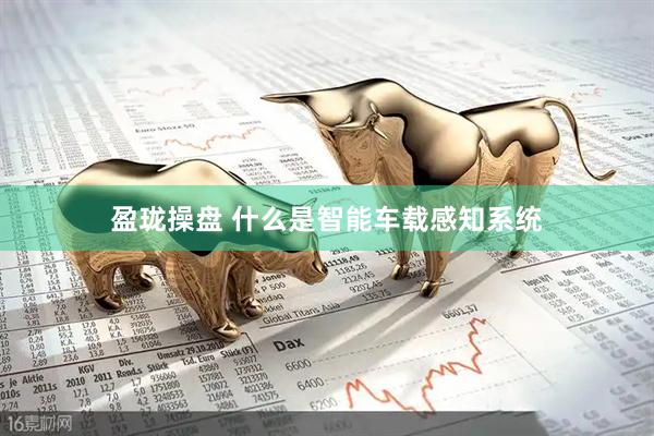 盈珑操盘 什么是智能车载感知系统