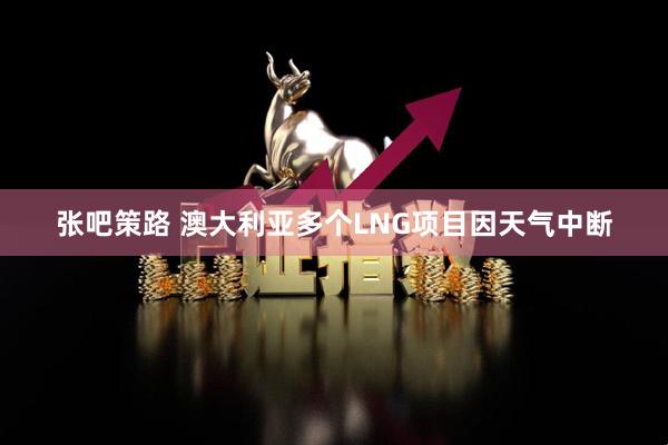 张吧策路 澳大利亚多个LNG项目因天气中断