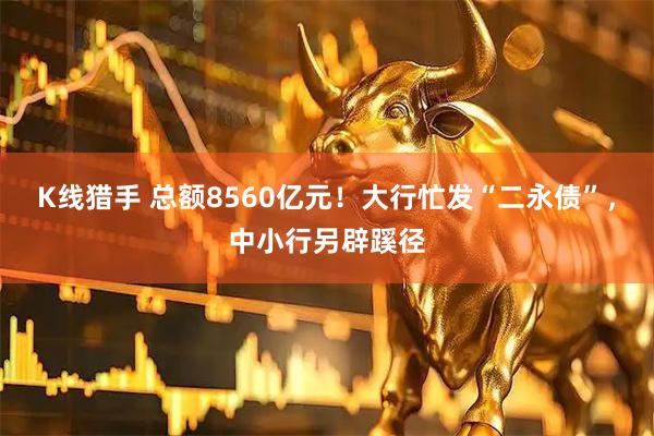 K线猎手 总额8560亿元！大行忙发“二永债”，中小行另辟蹊径